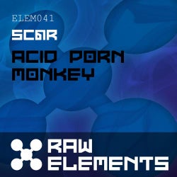 Acid Porn Monkey