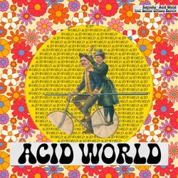 Acid World