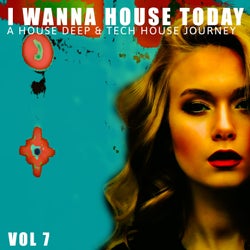 I Wanna House Today!, Vol. 7