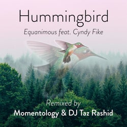 Hummingbird (Momentology & DJ Taz Rashid Remix)