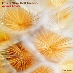 This is Slow Roll Techno