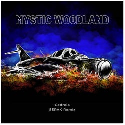 Mystic Woodland