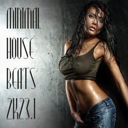 Minimal House Beats 2k23, Vol. 1