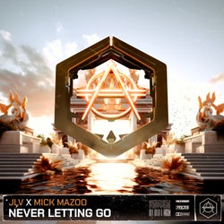 Never Letting Go - Extended Mix