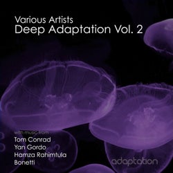 Deep Adaptation, Vol. 2