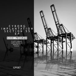 Cyborg Implantation Section 55 EP