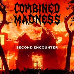 Second Encounter