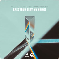 Spectrum (Say My Name) [Extended Mix]