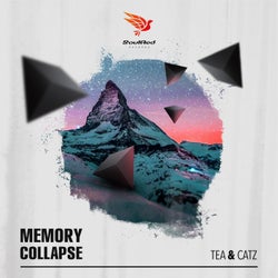 Memory Collapse