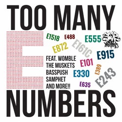 Too Many E Numbers EP