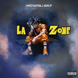 LA ZONE