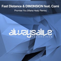 Promise You (Maria Healy Remix)