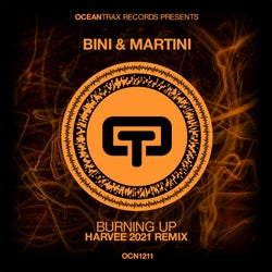 Burning Up (Harvee 2021 Remix)