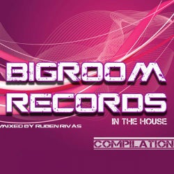 Big Room In The House Vol. 1: WMC Edition
