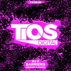 Barriers (Bridgey-B Remix)