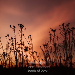 Seeds of Love (Radio Edit)