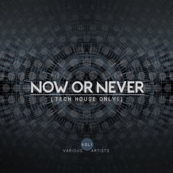 Now Or Never, Vol. 1 (Tech House ONLY!)