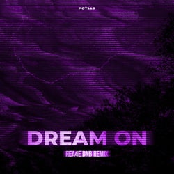 DREAM ON (DnB Remix)