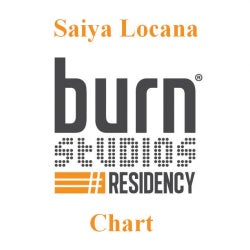 Burn Studios Residency Chart