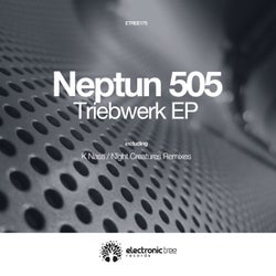 Triebwerk