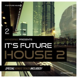 It's Future House!, Vol. 2