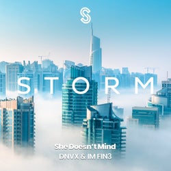 She Doesn't Mind (Extended Mix)