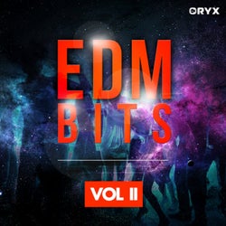 EDM Bits, Vol. 2