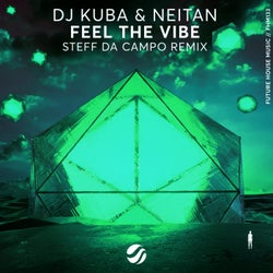 Feel The Vibe (Steff Da Campo Remix)