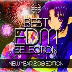 Best EDM Selection (New Year 2019 Edition)