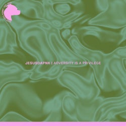 Adversity Is a Privilege