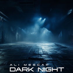 Dark Night