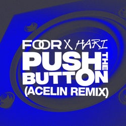 Push The Button (Acelin Remix)