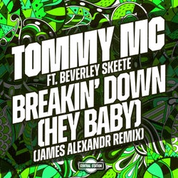Breakin' Down (Hey Baby) [feat. Beverley Skeete] [James Alexandr Extended Remix]