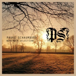 PAUKE SCHAUMBURG - NOVEMBER SELECTIONS