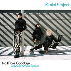 No More Goodbye (Jean Seaman Remix)