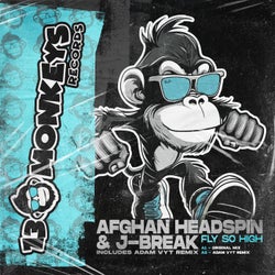 Fly So High (Includes Adam Vyt Remix)