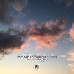 Free Birds Fly Highest Remix Session 01