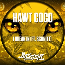 I Break In