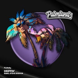 Drippin' (Extended Mix)