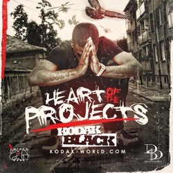 Heart of the Projects