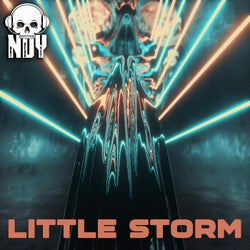 Little Storm