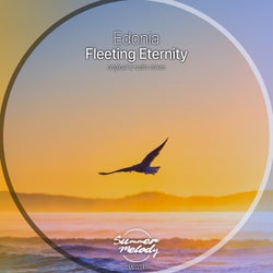 Fleeting Eternity