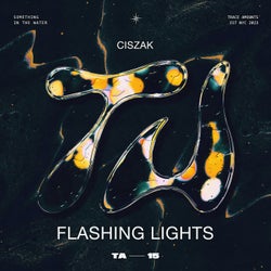 Flashing Lights (Extended Mix)