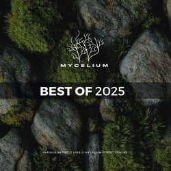 Best of 2025