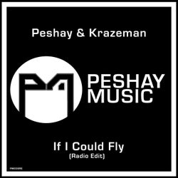 If I Could Fly (Radio Edit)