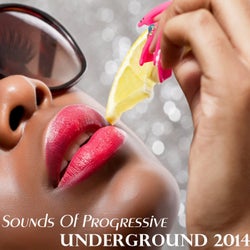 Sounds of Progressive Underground 2014