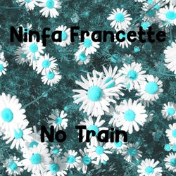 No Train