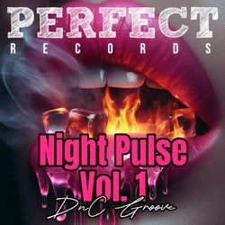 Night Pulse Vol.1
