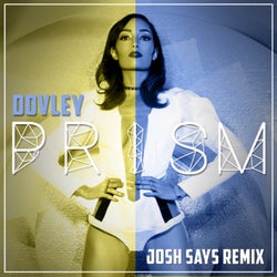 Prism (Josh Says Remix)