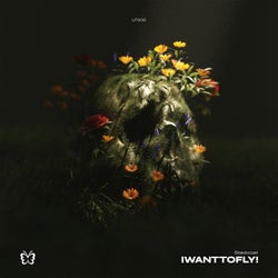 iwanttofly!
